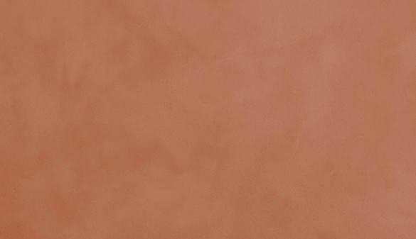 Nahaufnahme einer glatten, leicht glänzenden Wandoberfläche aus Tadelakt – einem natürlichen Kalkputz mit warmem, erdigem Farbton und typischer, handpolierter Struktur.